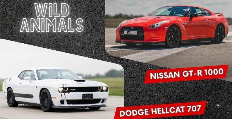 Rally Special